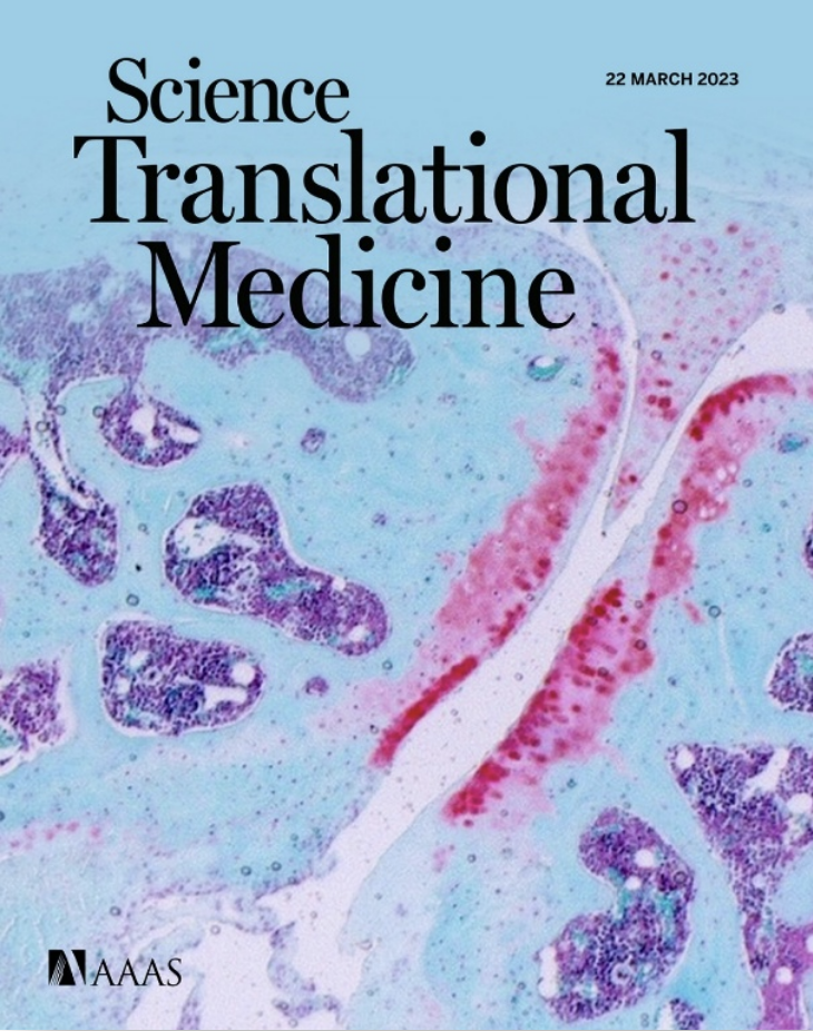 Science Translational Medicine magazine cover in blue with a photo of cellular imagery in pink and purple